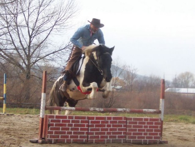 Hubertus 2006